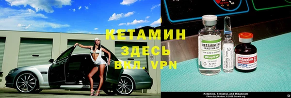 прущие грибы Дмитриев