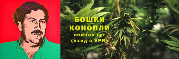 прущие грибы Дмитриев