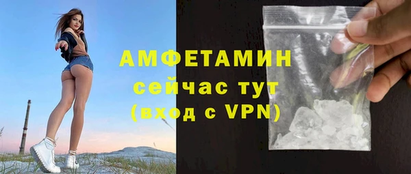 прущие грибы Дмитриев