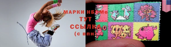 прущие грибы Дмитриев