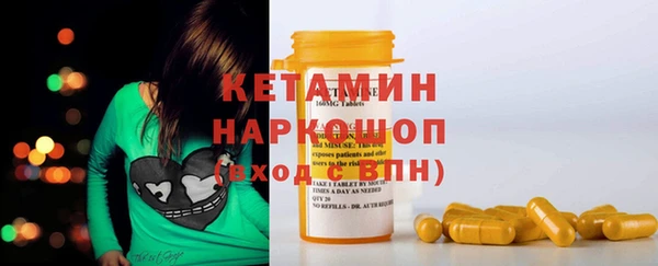 прущие грибы Дмитриев