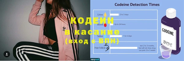 прущие грибы Дмитриев