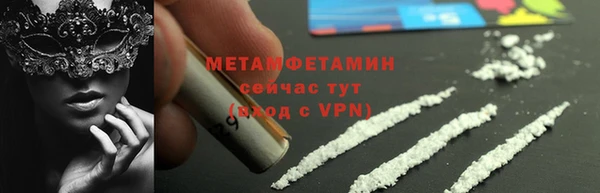 прущие грибы Дмитриев