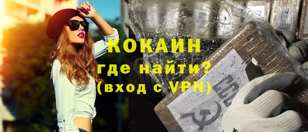 прущие грибы Дмитриев