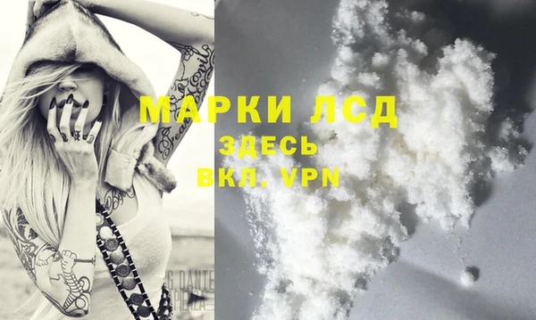 прущие грибы Дмитриев