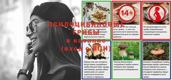 apvp Дмитров