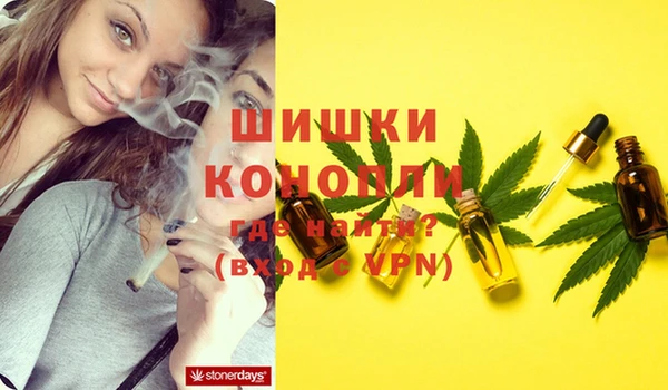 apvp Дмитров