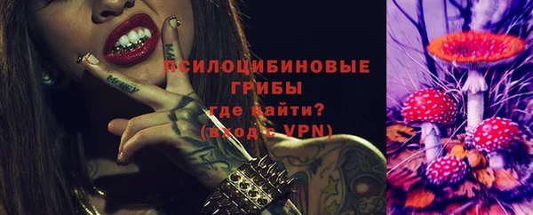 apvp Дмитров