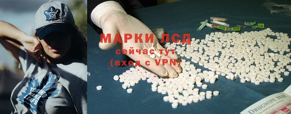 прущие грибы Дмитриев