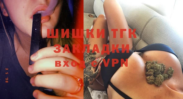 прущие грибы Дмитриев