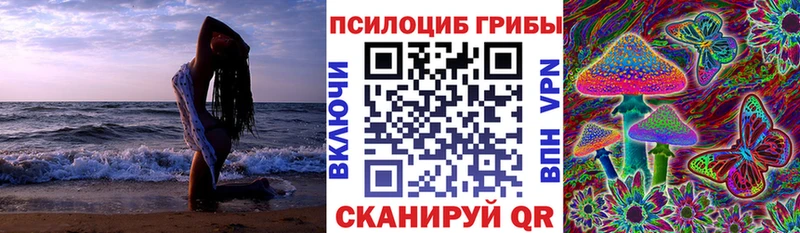 Галлюциногенные грибы прущие грибы  Купить закладки  Новохопёрск 